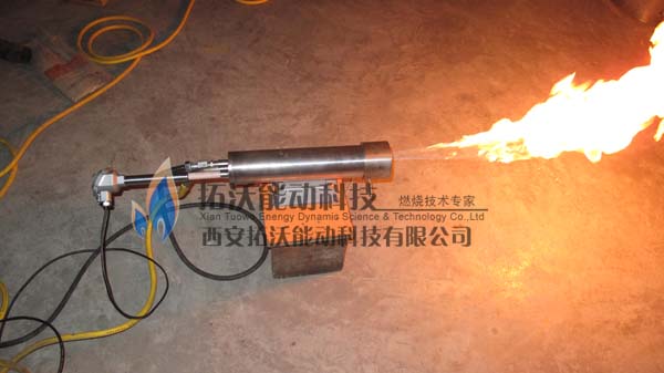 点火试验